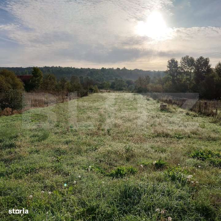 Casa de vacanta, Brestovat - Imagine principală: 2/16