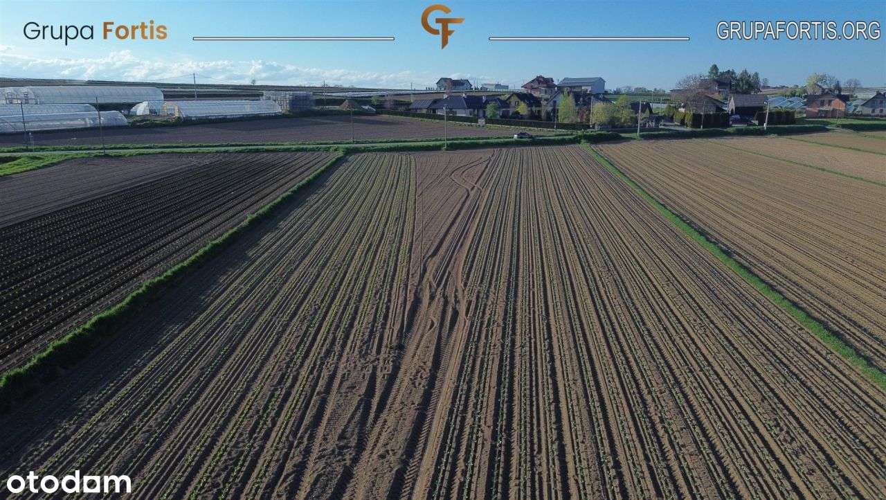 Działka z Mpzp 62 ary, Tropiszów - Pełny obrazek: 5/8