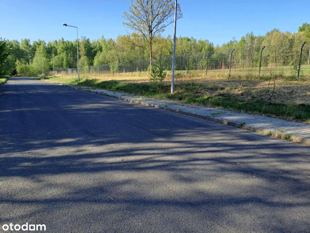 Działka inwestycyjna 2.1692 ha gmina Godów - Pełny obrazek: 5/8