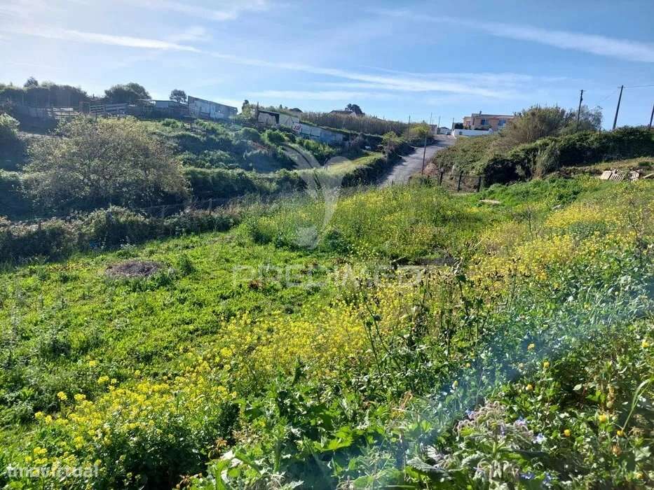 Terreno Urbano com benfeitorias - Grande imagem: 4/15