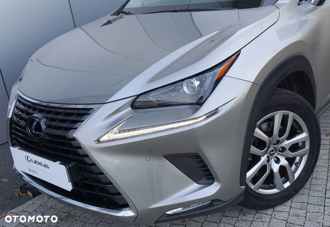 Lexus NX - 6