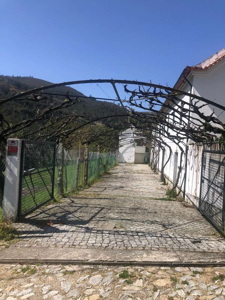 Quinta espetacular na região do vinho verde em plena produção-39