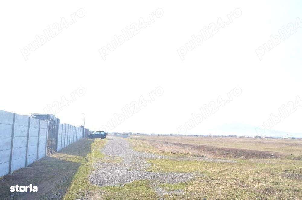Teren Intravilan 160.000 mp Harman - Imagine principală: 2/3