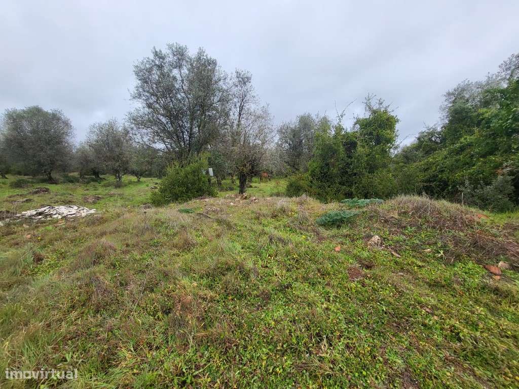 Terreno com 12,5 ha e ruína com 150 m2 perto de Vila Viçosa - Grande imagem: 4/42