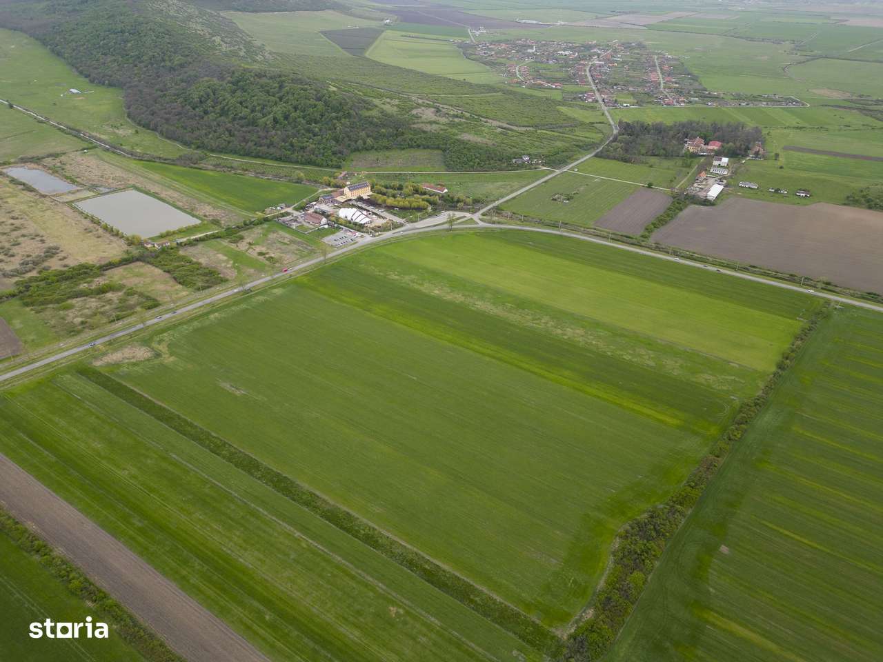 Teren extravilan de 22500mp Zona Ineu - Imagine principală: 5/10