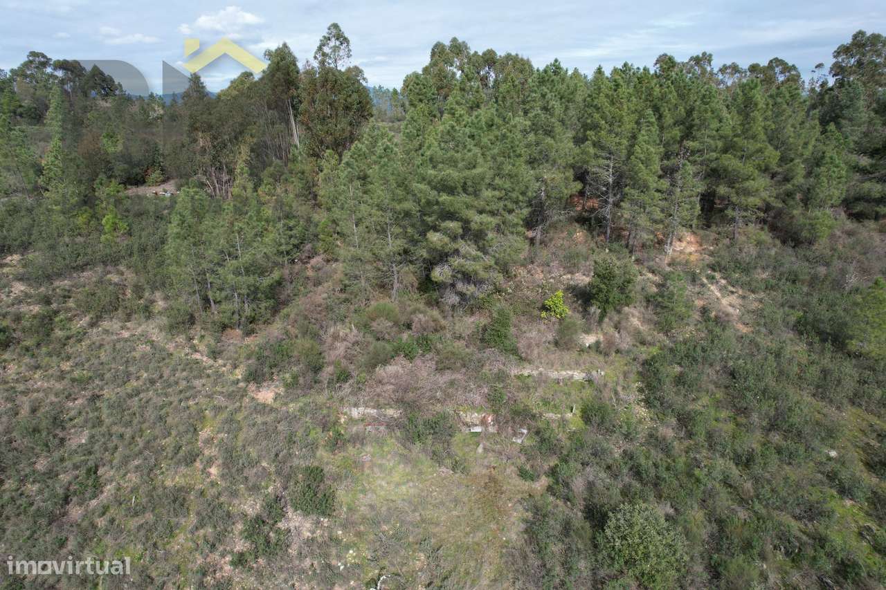 Terreno Rústico  Venda em Salgueiro do Campo,Castelo Branco - Grande imagem: 3/7