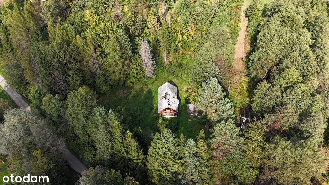 Łączki Jagiellońskie, siedlisko w malowniczym otoczeniu lasu i natury-0