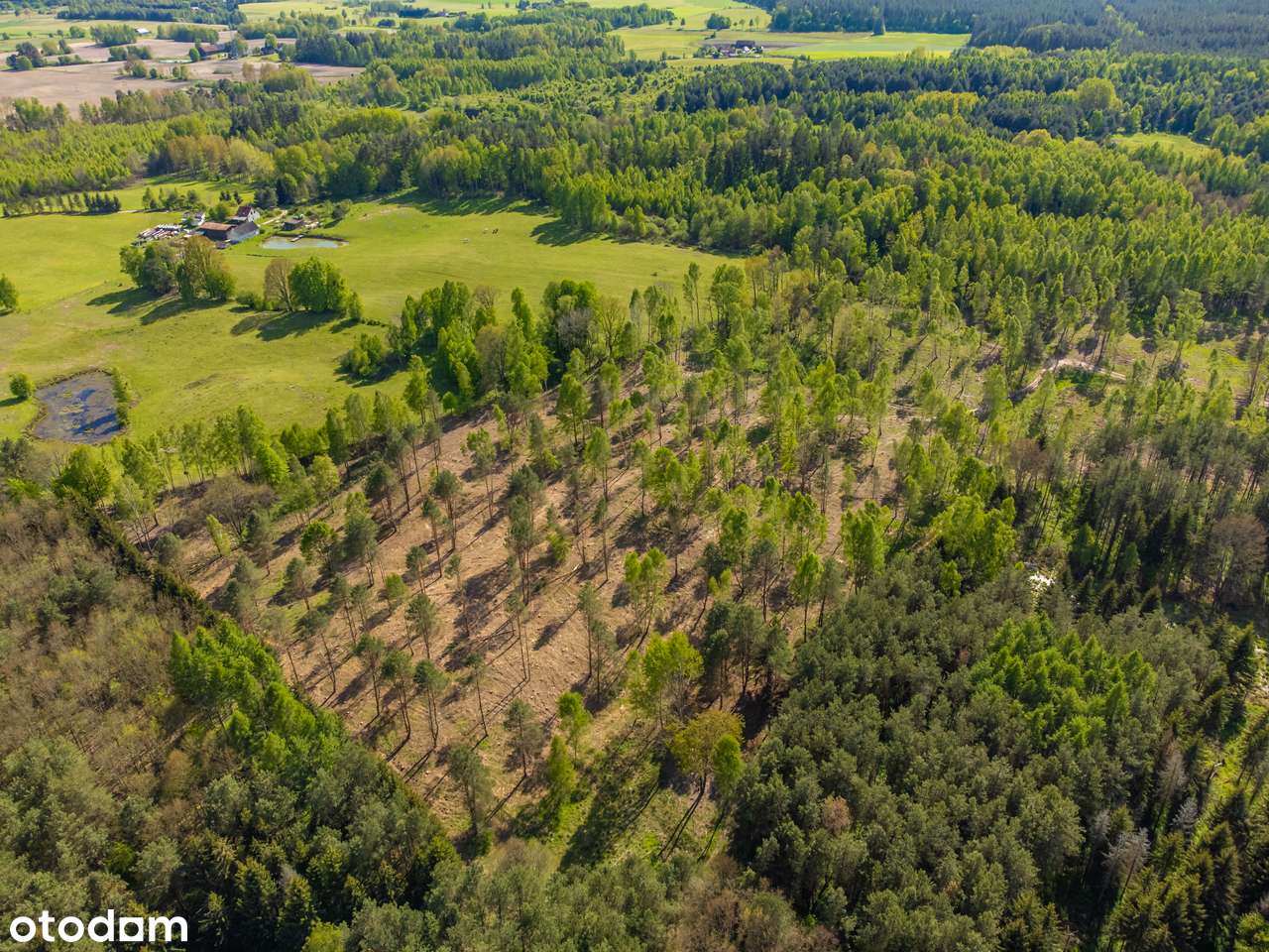 Działka inwestycyjna-4