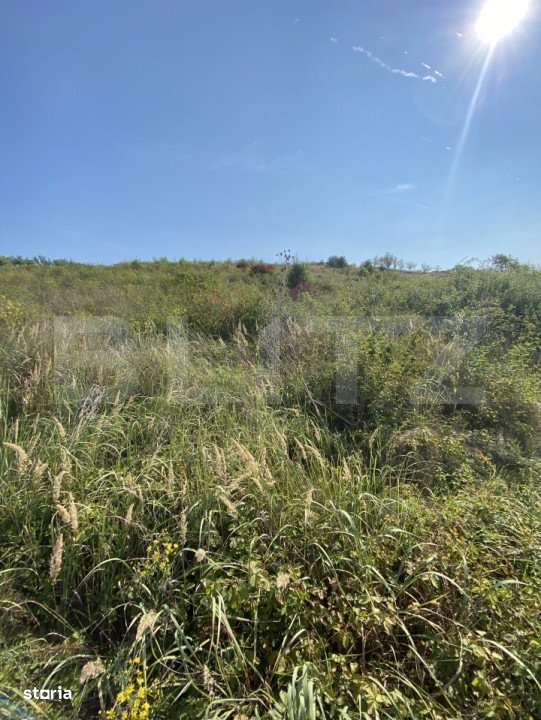 Teren intravilan/extravilan centura Zalau, 8200 mp - Imagine principală: 2/6