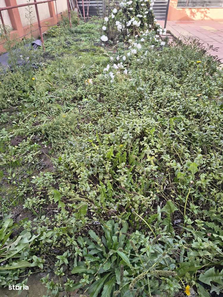 UNIVERSITATE casa de caramida cu 3 camere 176 mp pret 235000 euro-8