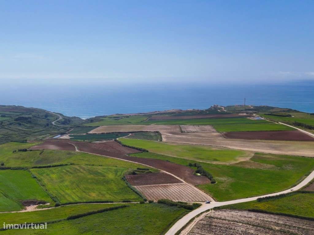 Venda de 2 Terrenos Agrícolas na zona do Paimogo, Lourinhã-17