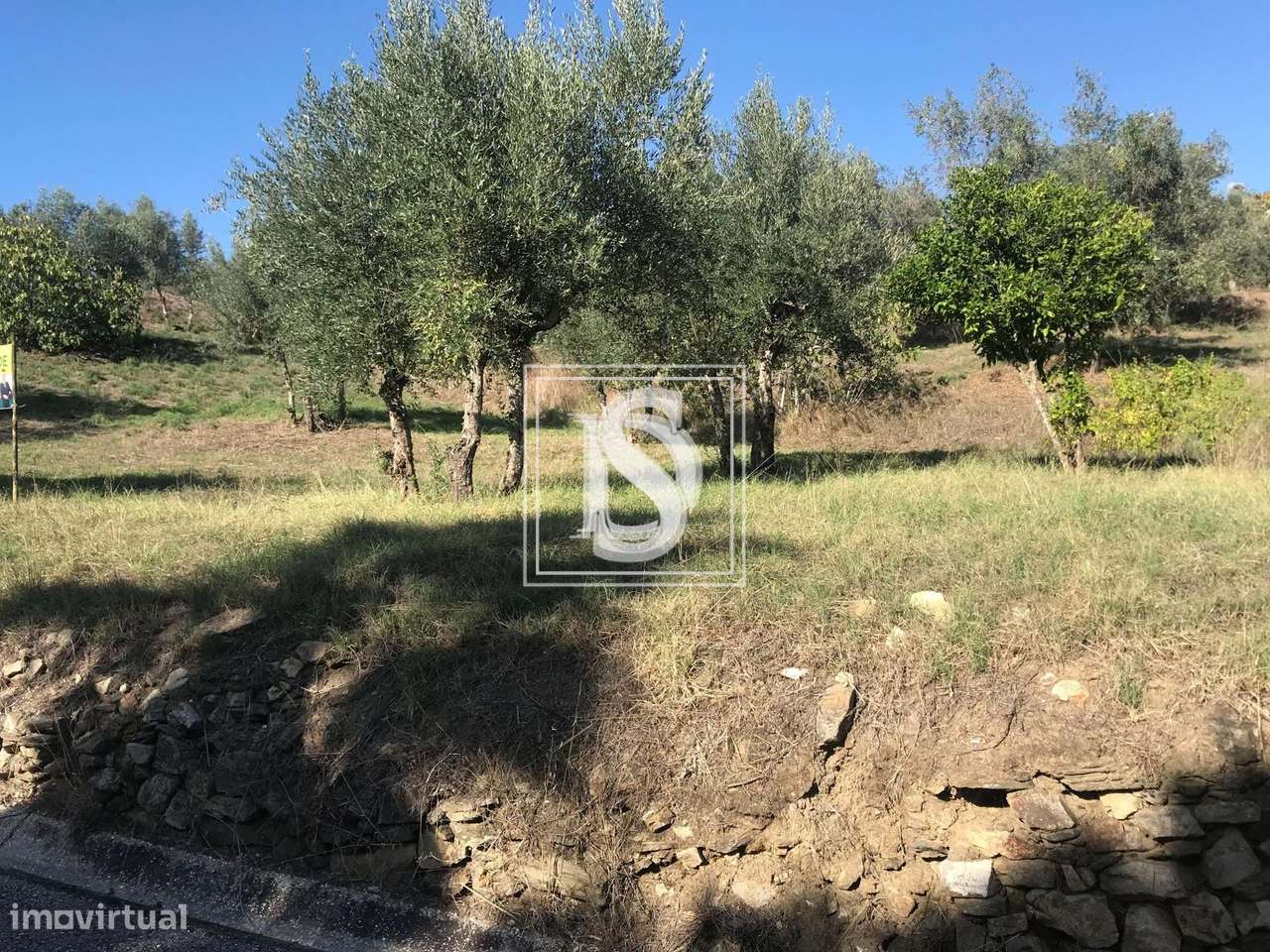 Terreno Com Projecto Aprovado - Sardoal (Azinhaga da Dabada) - Grande imagem: 5/9