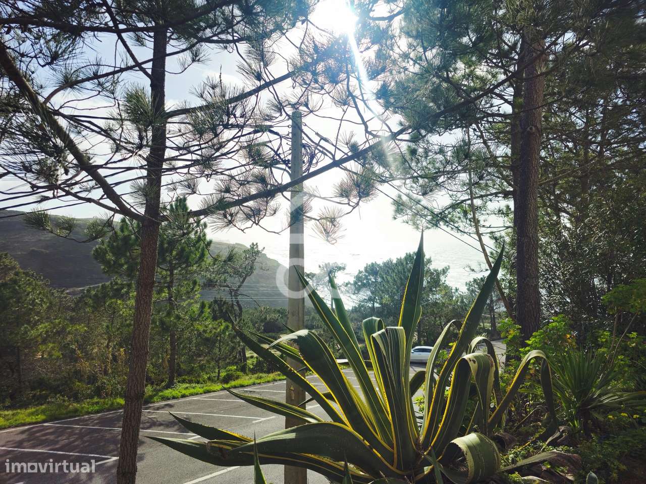 Apartamento T1 com varanda e parqueamento | Cozinha equipada - Grande imagem: 4/15