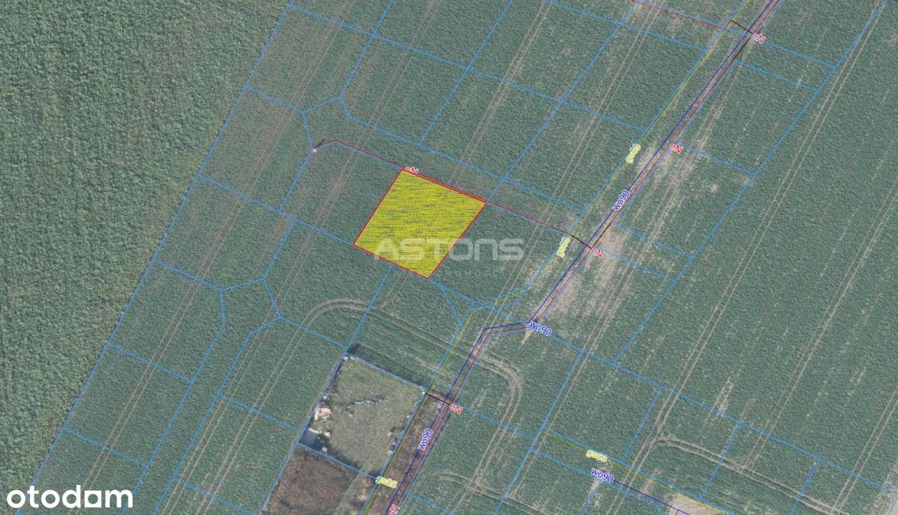 Znakomita Działka W Kostrzynie!-7
