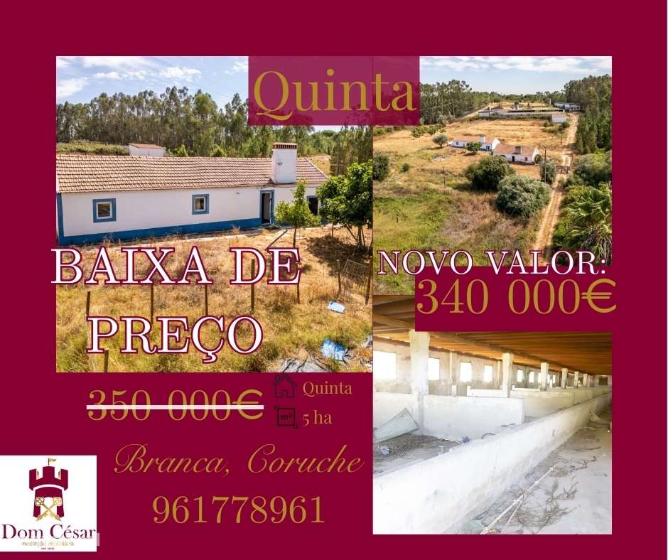 Quinta  5hct Rústica / Urbana com Potencial Único -  Branca - Coruche - Grande imagem: 1/24