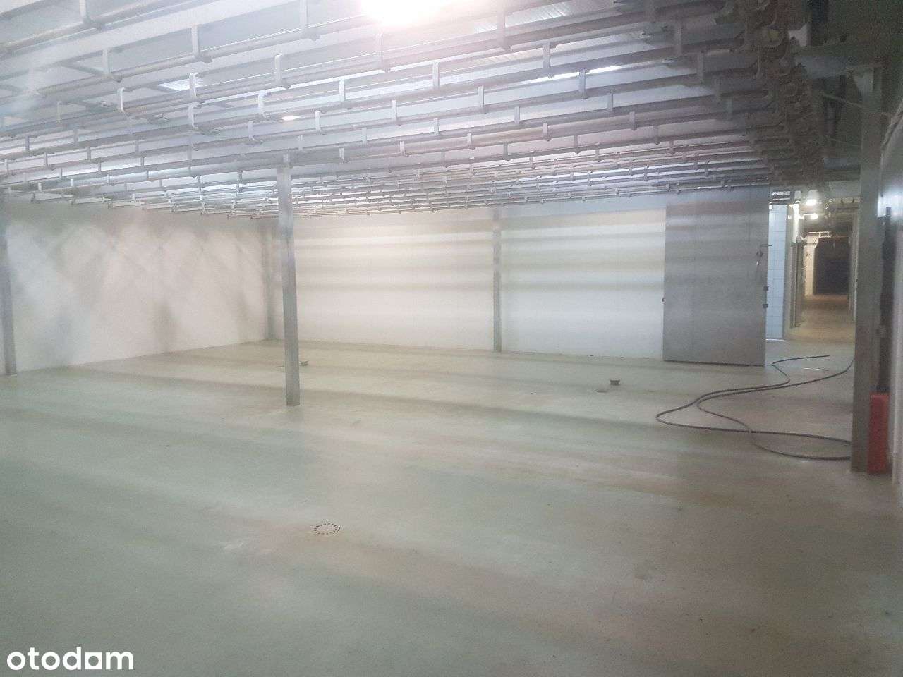 Wynajmę hale na magazyn warsztat itd - Pełny obrazek: 4/14
