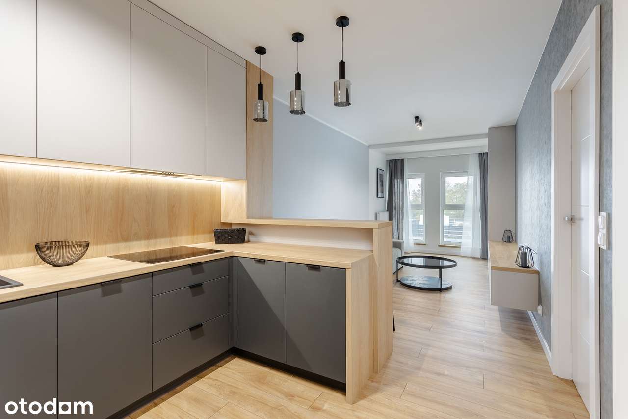 Nowe|Piątkowo|Umeblowane|1 Piętro|2 Pokoje -45m2 + 2 Miejsca w Hali| - Pełny obrazek: 4/13