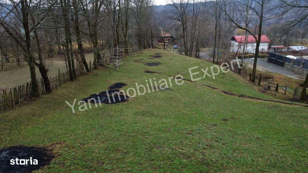 Teren de vânzare în comuna Arefu, județ Argeș ( Transfăgărășan ) - Imagine principală: 5/20