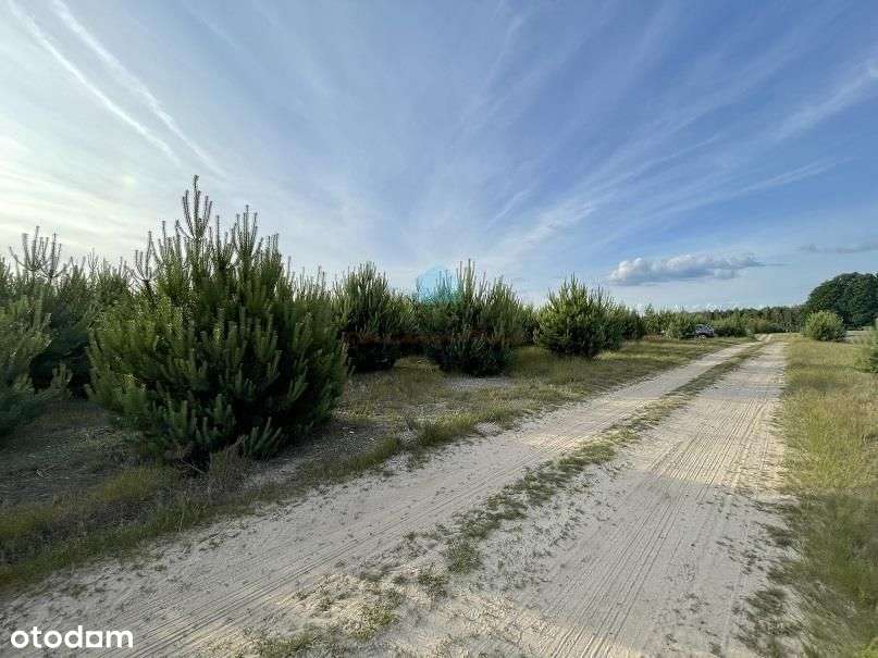 Atrakcyjna działka z warunkami zabudowy Karczewko - Pełny obrazek: 4/9