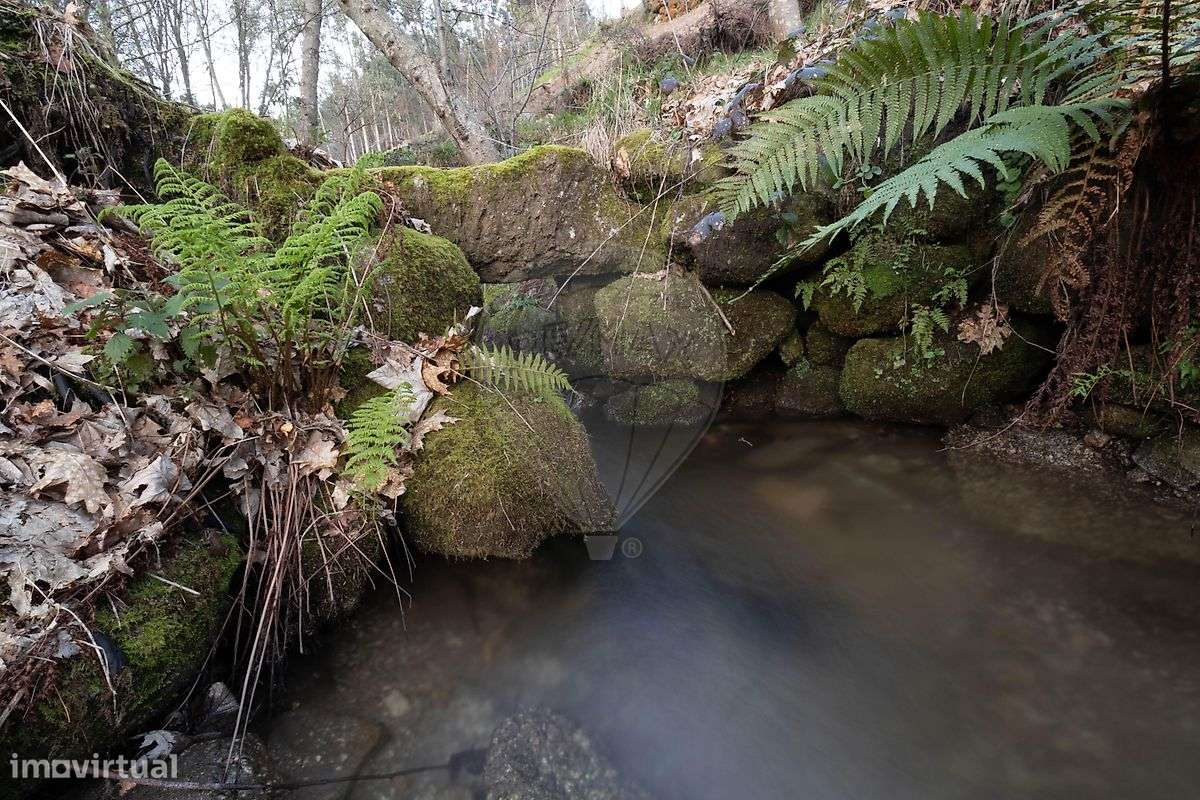 Quinta  para venda-11