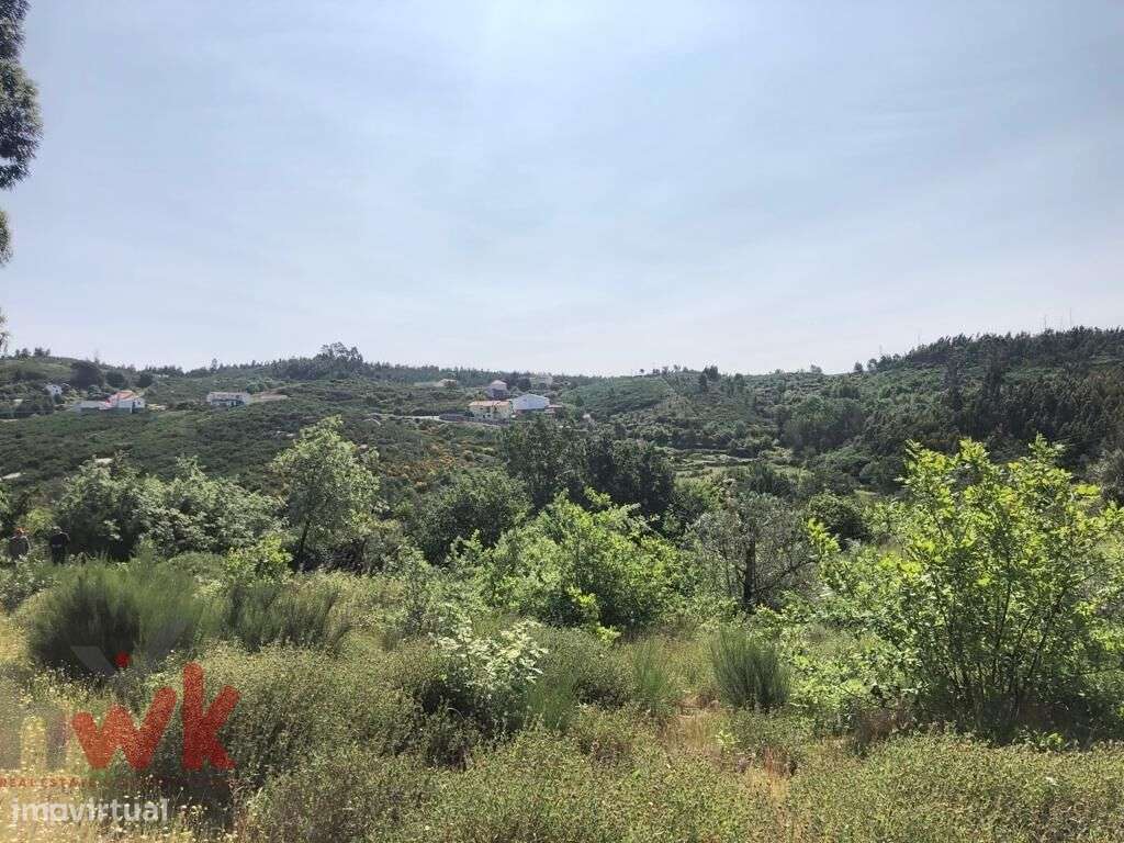 Terreno com ruína em pedra com vistas desafogadas - Grande imagem: 5/11