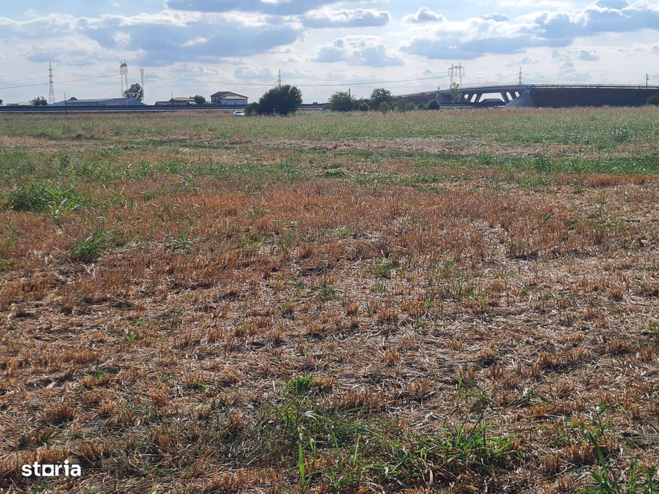 Teren intravilan Magurele - Imagine principală: 3/5