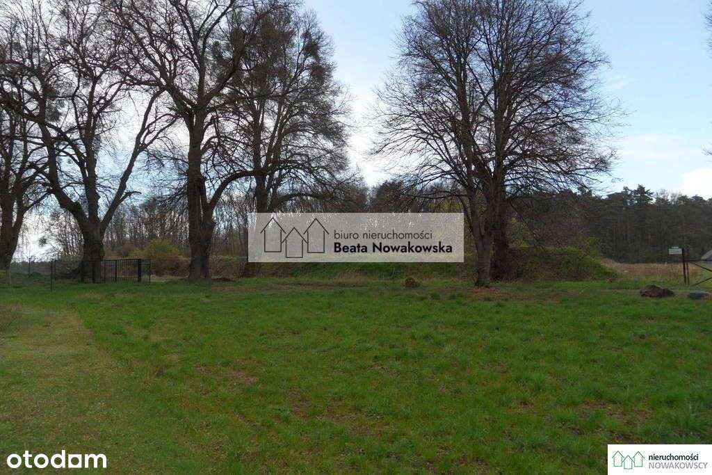 Działka, 11 778 m², Lipówka - Pełny obrazek: 5/12