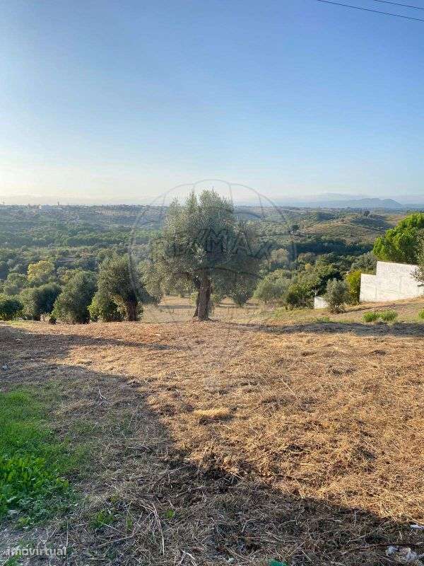 Terreno  para venda - Grande imagem: 3/10