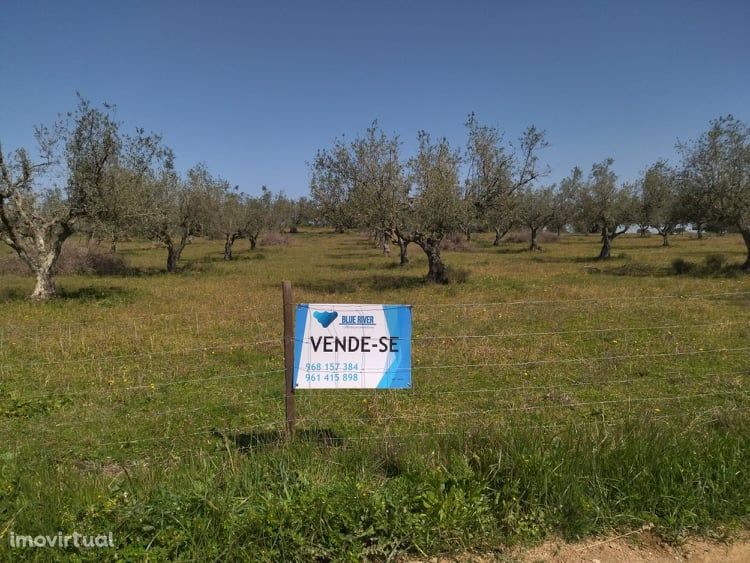 Terreno 19 250 m2 Viana do Alentejo