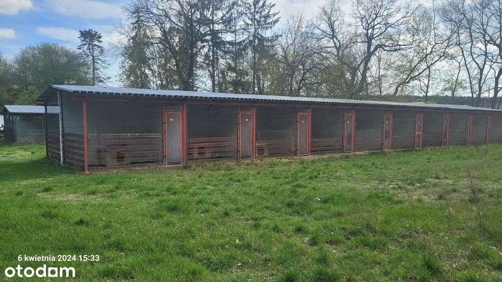 Lokal użytkowy, 1 240 m², Sierakowo-15