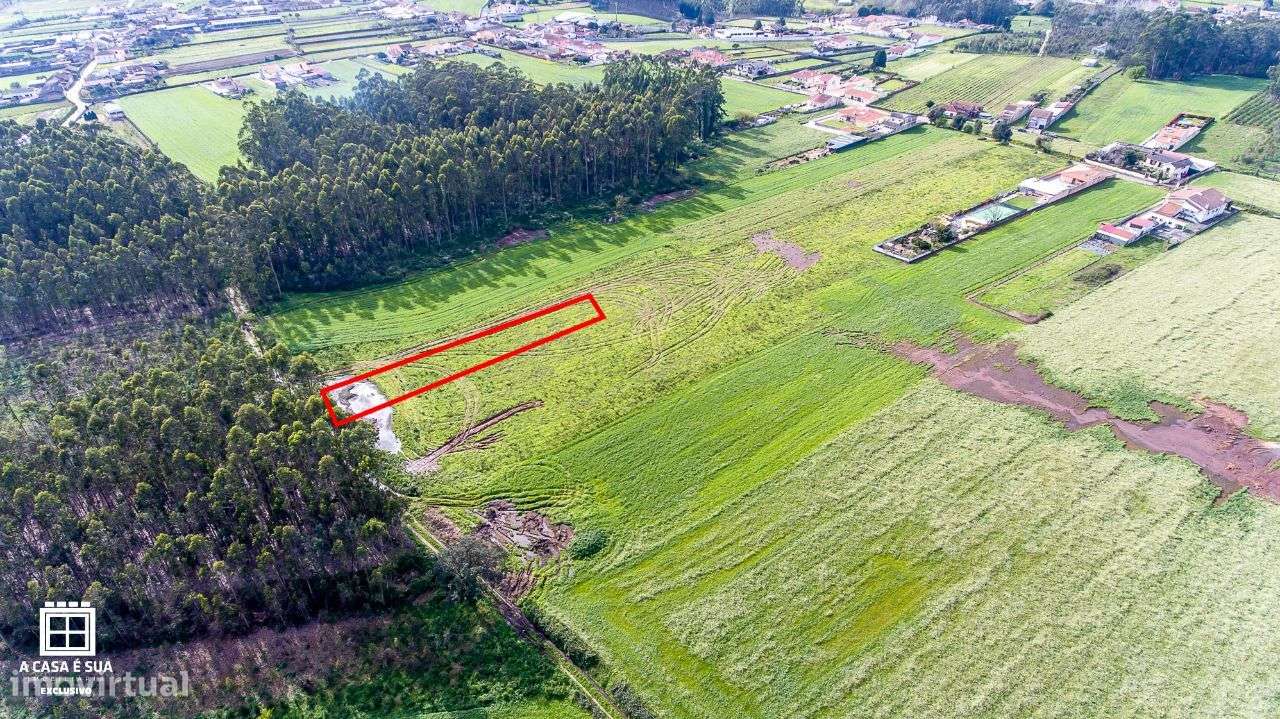 Terreno de cultivo em São João de Ovar - Exclusivo - Grande imagem: 5/12