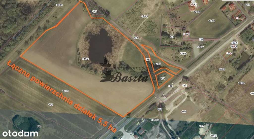 Teren inwestycyjny 5.5 h  Kołbaskowo k.Szczecina - Pełny obrazek: 5/7