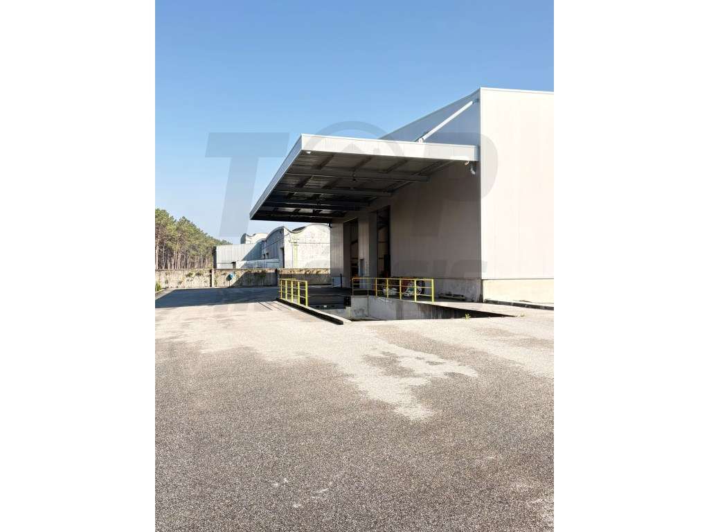 Complexo Industrial Moderno com Nave e Escritórios na Zona Prime de... - Grande imagem: 3/42