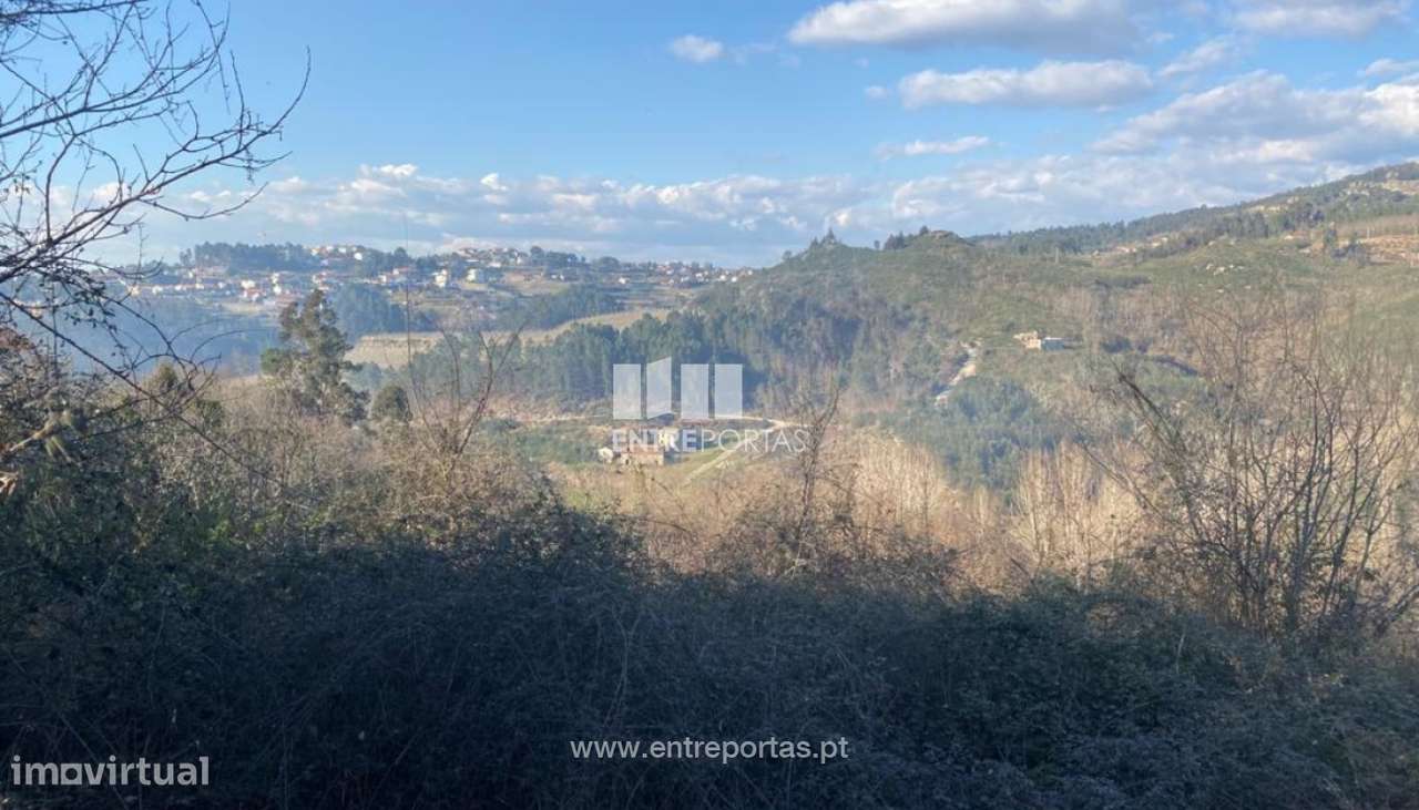 Venda Terreno, Soalhães, Marco de Canaveses - Grande imagem: 3/20