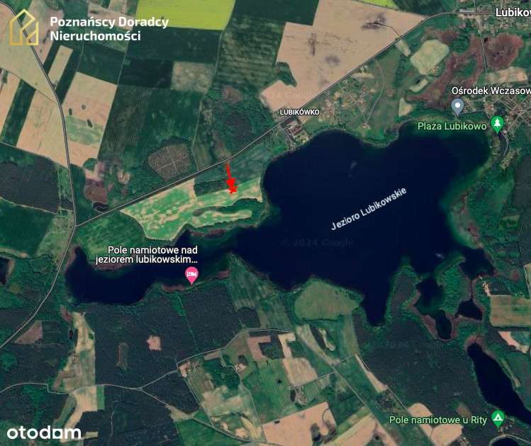 Działka nad jez. Lubikowskim możliwość podzielenia-8