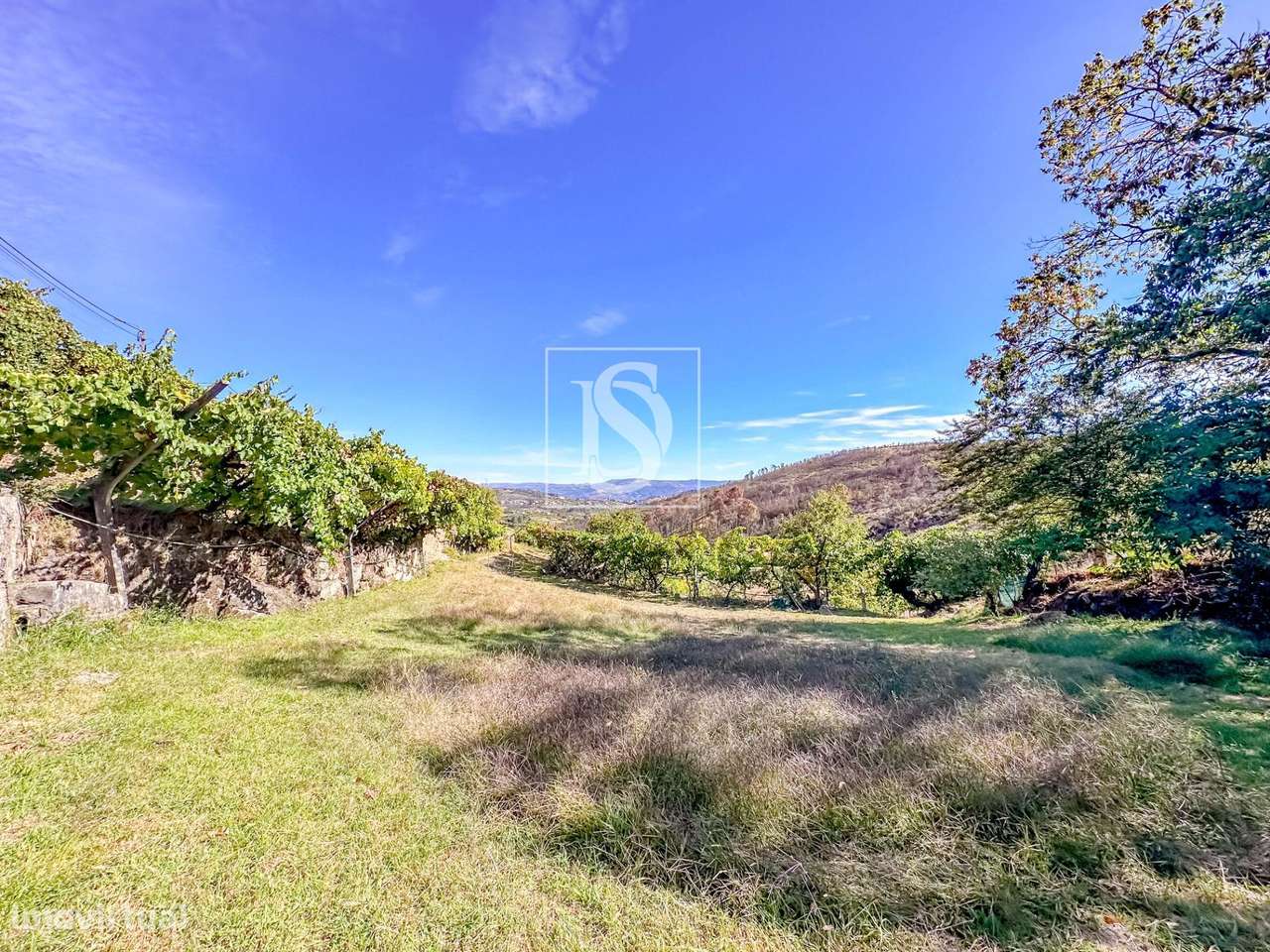 QUINTA COM 14.719 m² – GRILO, BAIÃO - Grande imagem: 2/41