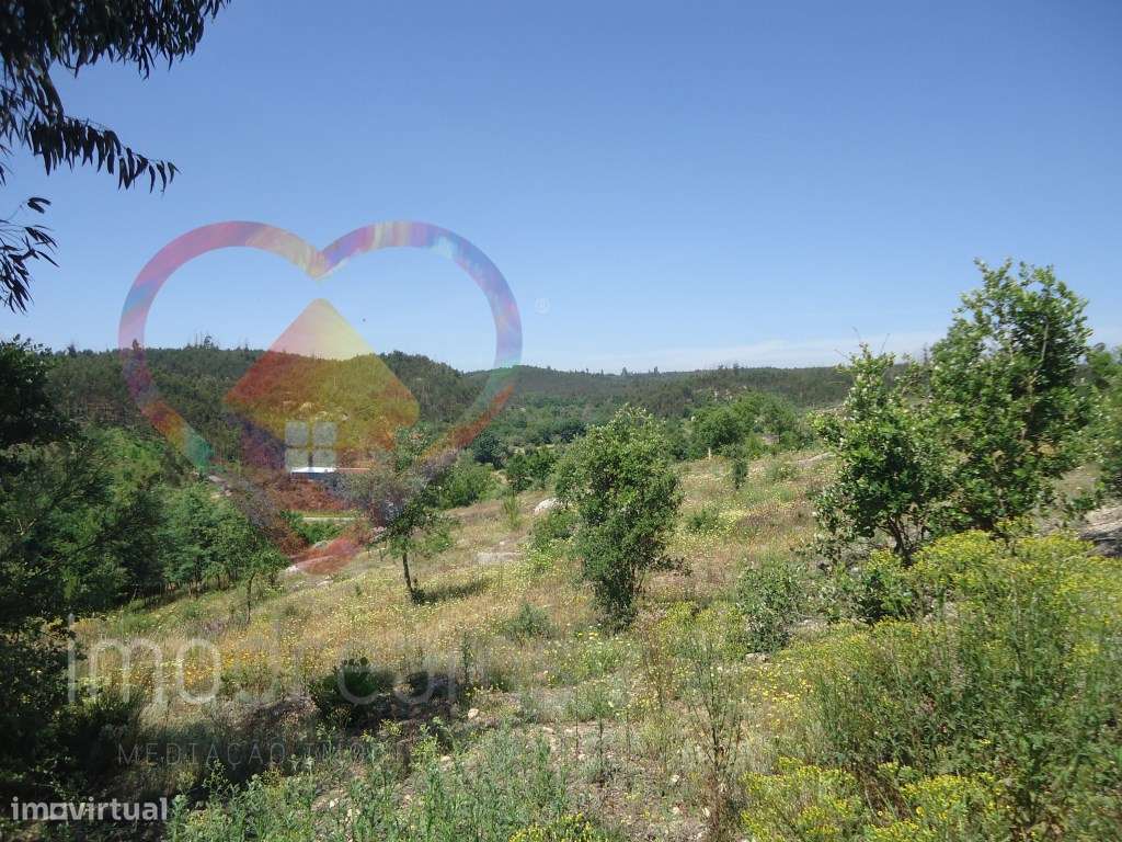 Quinta T6 em Santa Comba Dão - Viseu-59