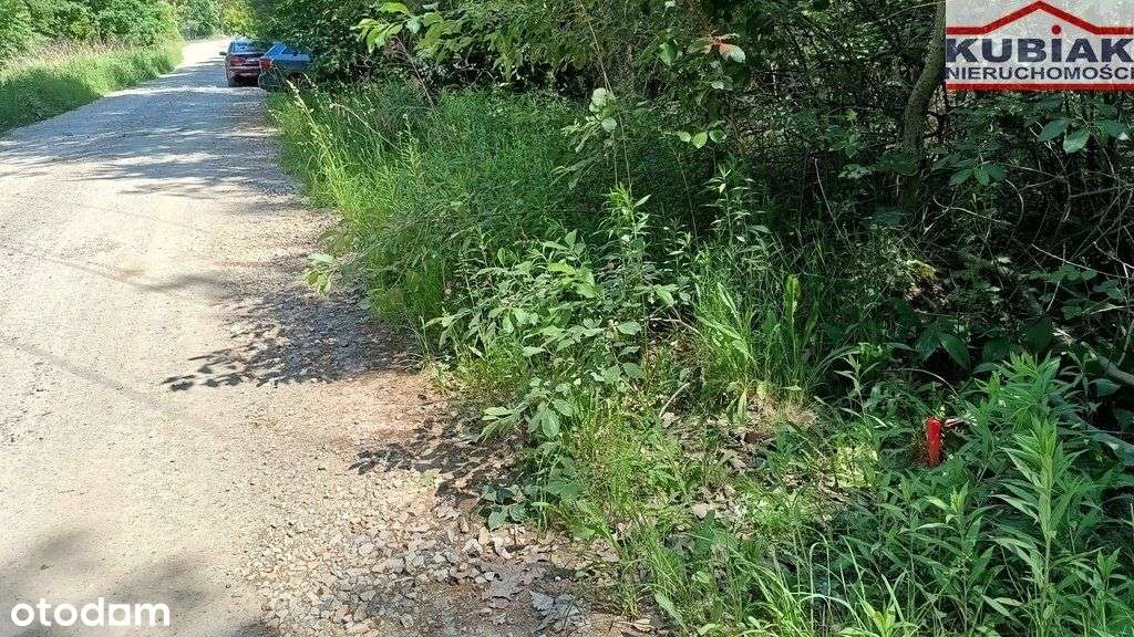 Działka budowlana z własnym lasem w pakiecie! - Pełny obrazek: 5/7