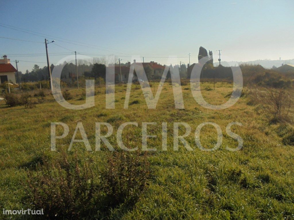 Terreno Arred. Oliveira do Bairro