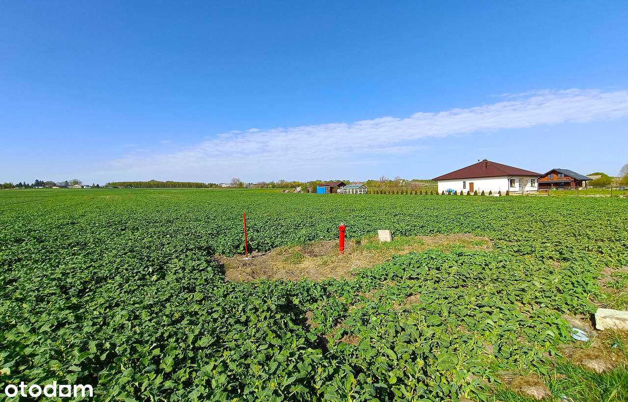 Działka budowlana, 8 km od Zamościa - Pełny obrazek: 4/14