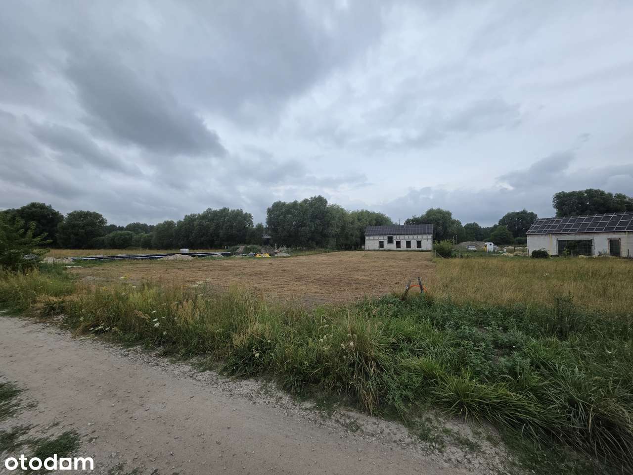 PIĘKNA OSTATNIA Działka Kórnik(Mościenica)las,jezioro,cisza,prywatnie - Pełny obrazek: 4/5