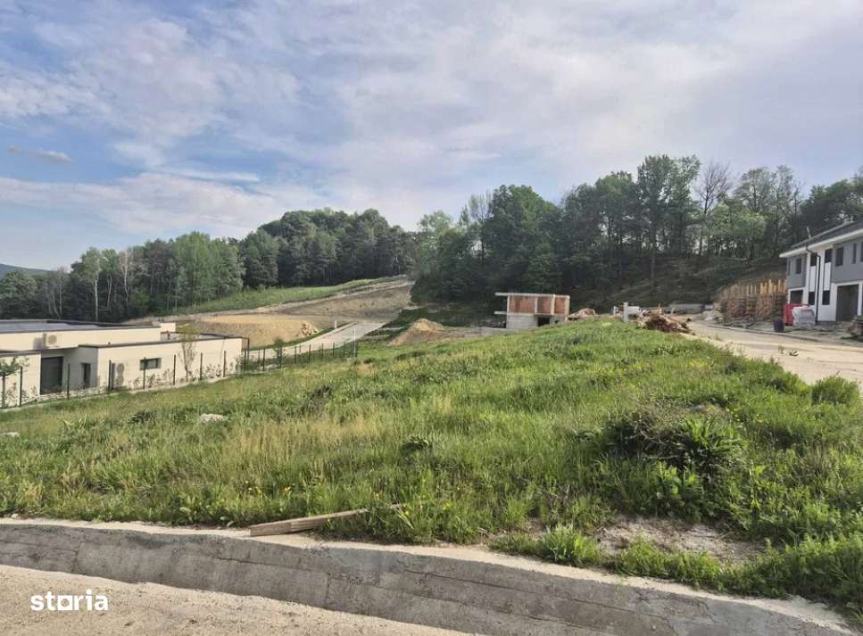 Teren intravilan - Calea Lui Traian - Zona Cetatuia - Imagine principală: 2/5