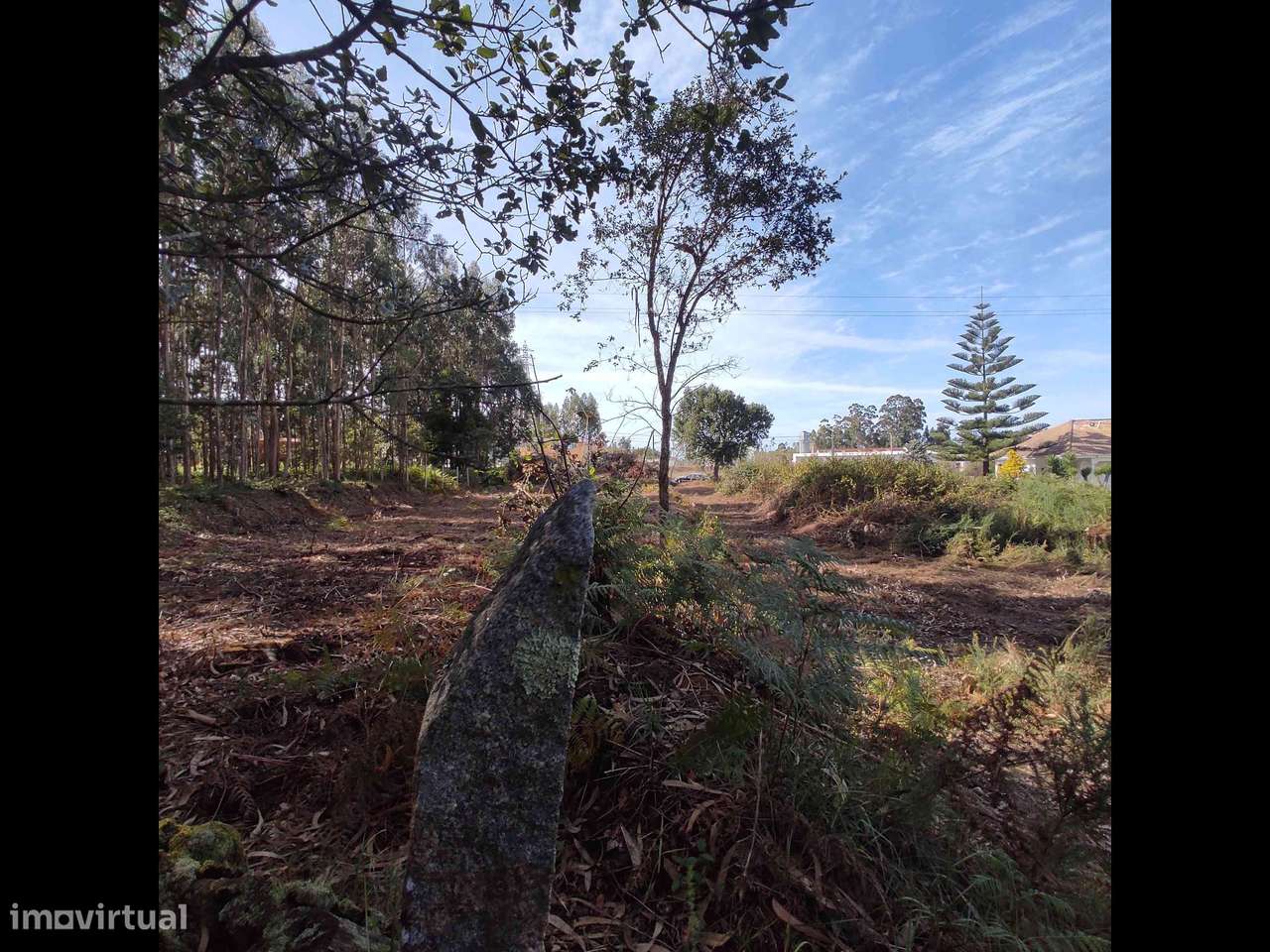 Terreno 1425 M2 P/Construção-3