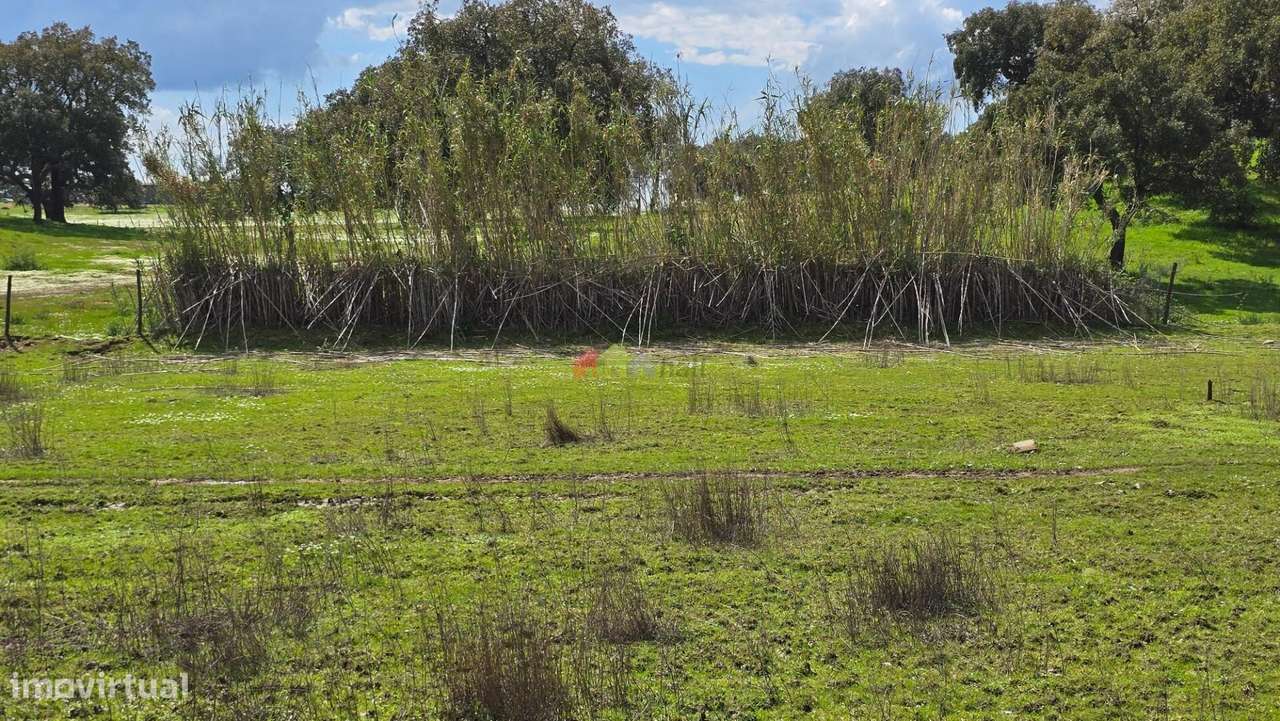 Quinta T2 em Fazendas do Cortiço-59