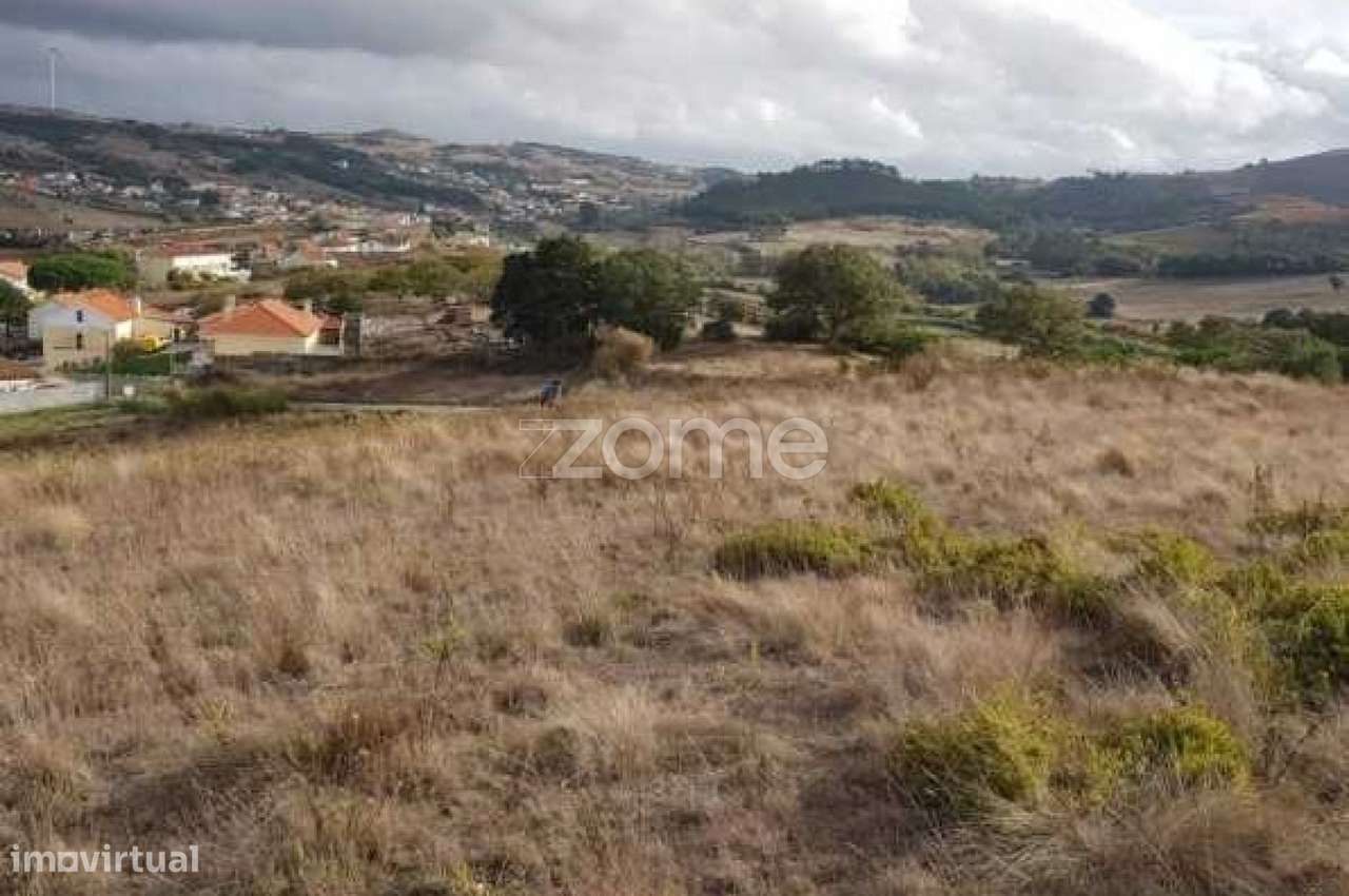 Terreno do Outeiro Grande em Pêro Negro - Grande imagem: 4/15