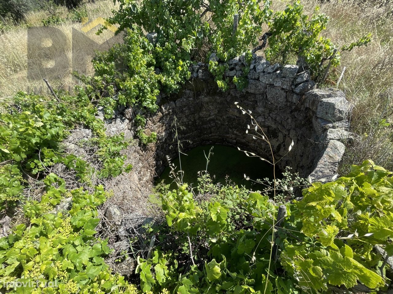 Quintinha  Venda em Escalos de Cima e Lousa,Castelo Branco