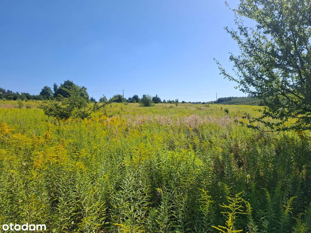 Widokowe działki budowlane - Zagórzyce Dworskie k/Michałowic-4