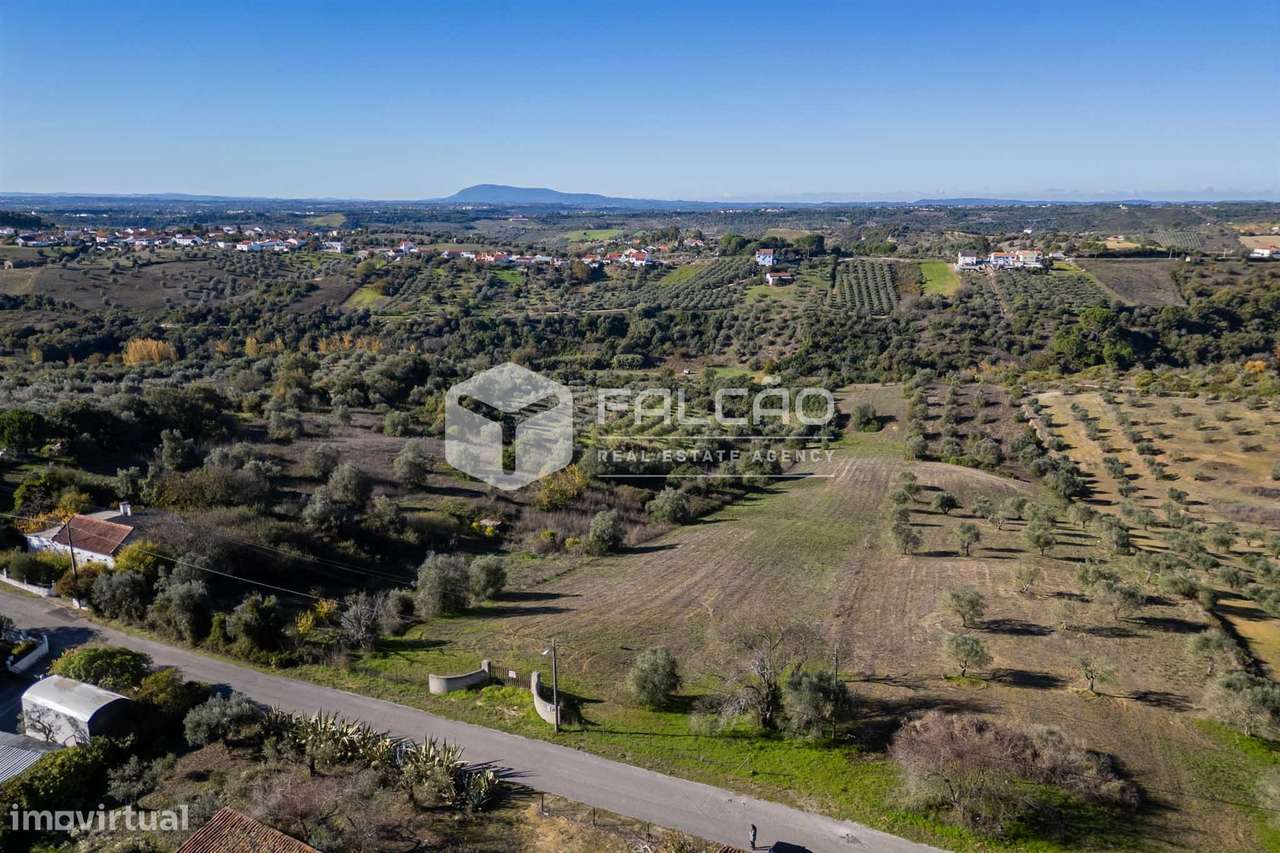 Terreno Para Construção  Venda em Moçarria,Santarém-20