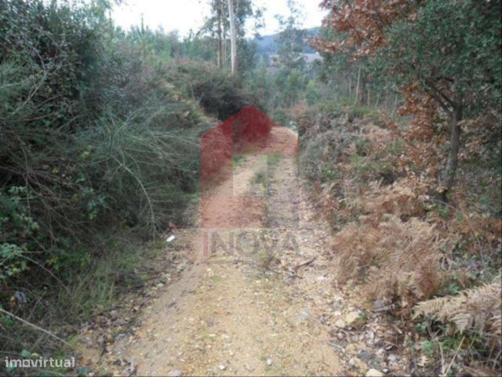 Vende-se Terreno, Cervães - Grande imagem: 5/6