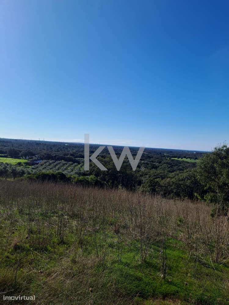 Ademas - Santiago do Cacém - Grande imagem: 5/13